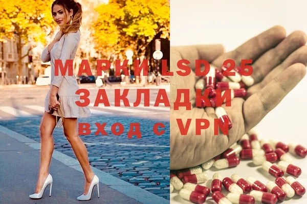 индика Арсеньев