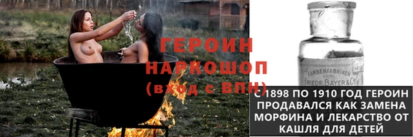 индика Арсеньев