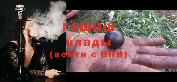 индика Арсеньев