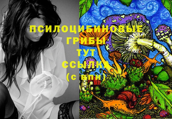 прущие грибы Аркадак
