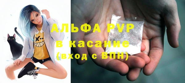 индика Арсеньев