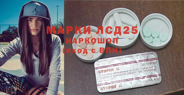 индика Арсеньев