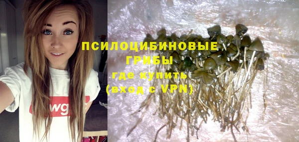прущие грибы Аркадак