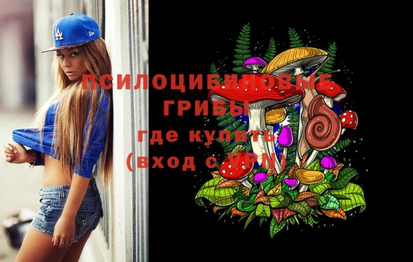 индика Арсеньев