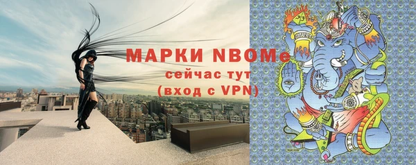 индика Арсеньев