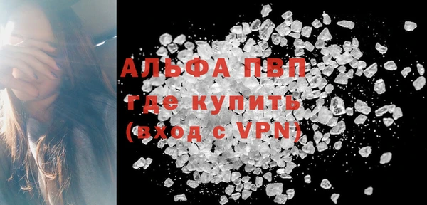 индика Арсеньев
