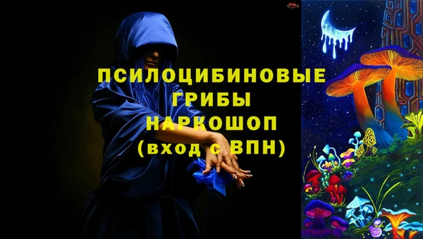 индика Арсеньев