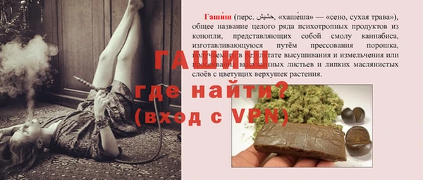 индика Арсеньев